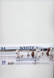 Opakowanie Karton Kraft A4 biały 10 arkuszy 230g/m2