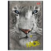 Opakowanie Kołobrulion A4 w kratkę 120 kartek Tygrys