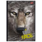 Opakowanie Kołobrulion A4 w kratkę 120 kartek Wilk