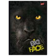 Opakowanie Kołobrulion A4 w kratkę 120 kartek