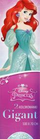 Kolorowanka Gigant Disney Princess. Wydawca: VERTE. Dadada.pl Opakowanie Kolorowanka Gigant Disney Princess