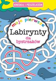 Okładka książki Kredką i pedzelkiem labirynty dla bystrzaków