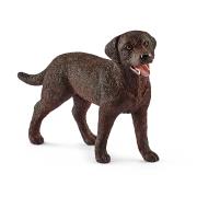 Opakowanie Labrador Retrieve suczka