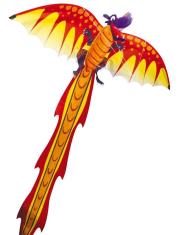 Opakowanie Latawiec Dragon 3D Gunther
