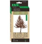 Opakowanie Ołówek sześciokątny z drewna cedrowego 12szt HB-2H