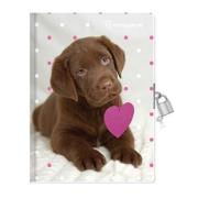 Opakowanie Pamiętnik Rachael Hale RHP-3650