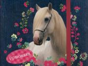 Opakowanie Pamiętnik z gumką Konie