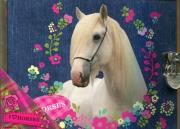 Opakowanie Pamiętnik z zamknięciem konie