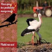 Okładka książki Ptasi śpiew bez podkładu muz. Ptaki na wsi CD