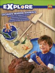 Opakowanie Skałki wykopaliska Zwierzęta morskie