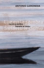 Okładka książki Światło w cieniu