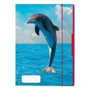 Opakowanie Teczka rysunkowa A4 z gumką delfin 01613