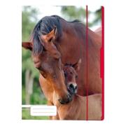 Opakowanie Teczka rysunkowa A4 z gumką Koń