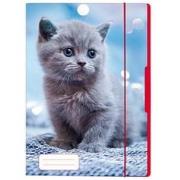 Opakowanie Teczka rysunkowa A4 z gumką Kot