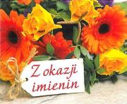 Z okazji imienin Perełka 276. Autor: Opracowanie zbiorowe. Dadada.pl Okładka książki Z okazji imienin Perełka 276
