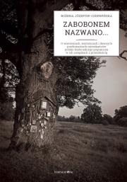 Okładka książki Zabobonem nazwano...