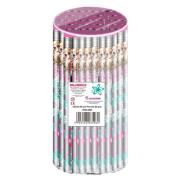 Okładka książki Zestaw 60 ołówków Rachael Hale RHR-2994