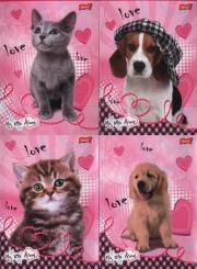 Opakowanie Zeszyt A5 My little friend w trzy linie  16 kartek  15 sztuk mix