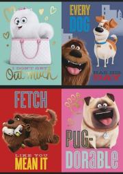 Opakowanie Zeszyt A5 Sekretne życie zwierzaków w kratkę 32 kartki 15 sztuk mix