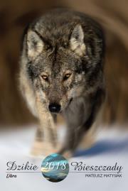 Dzikie Bieszczady 2018. Autor: Matysiak Mateusz. Dadada.pl Okładka książki Dzikie Bieszczady 2018