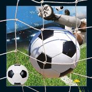 Magnes 3D - Piłka nożna. Wydawca: Worth Keeping. Dadada.pl Opakowanie Magnes 3D - Piłka nożna