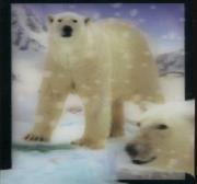 Magnes 3D. Wydawca: Worth Keeping. Dadada.pl Opakowanie Magnes 3D