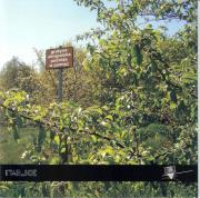 Okładka książki Podróże w pamięć