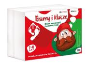 Programowanie w ruchu Bramy i klucze. Wydawca: EI System. Dadada.pl Opakowanie Programowanie w ruchu Bramy i klucze