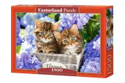 Opakowanie Puzzle 1500 Cute Kittens
