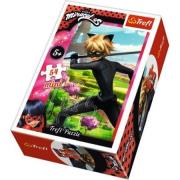 Opakowanie Puzzle 54 mini Czas na przemianę 4 TREFL