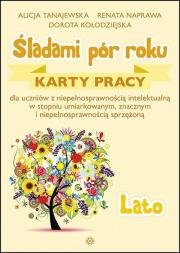 Śladami pór roku - Lato. Karty pracy. Autor: Alicja Tanajewska, Dorota Kołodzi. Dadada.pl Okładka książki Śladami pór roku - Lato. Karty pracy