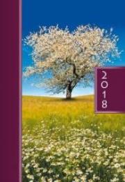 Opakowanie Terminarz 2018 A5 kolor - drzewo