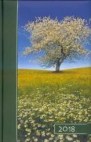 Opakowanie Terminarz 2018 B6 kolor - drzewo