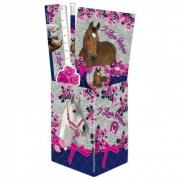 Opakowanie Zestaw przyborów szkolnych w puszce Konie 13