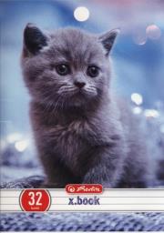 Okładka książki Zeszyt 32 A5 w linie Animals