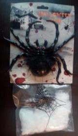 Opakowanie Duży pająk z pajęczyną