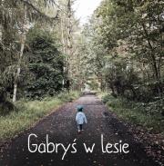 Gabryś w lesie. Autor: Agnieszka Starok. Dadada.pl Okładka książki Gabryś w lesie