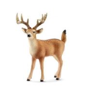 Opakowanie Jeleń biało-ogoniasty