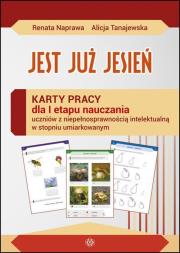 Jest już jesień Karty pracy sztywna teczka. Autor: Naprawa Renata, Naprawa Renata Tanajewska Alicja. Dadada.pl Okładka książki Jest już jesień Karty pracy sztywna teczka