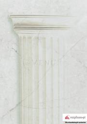 Okładka książki Juwenilia