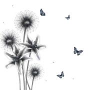 Opakowanie Karnet Swarovski kwadrat CL0321_BL