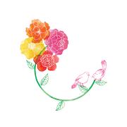 Okładka książki Karnet Swarovski kwadrat Kolorowe kwiaty