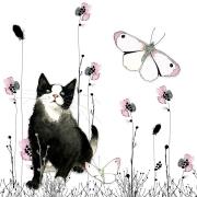 Opakowanie Karnet Swarovski kwadrat Kot i motyl