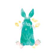 Opakowanie Karnet Swarovski kwadrat Niebieski królik