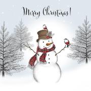 Opakowanie Karnet Swarovski kwadrat Święta Bałwan Napis