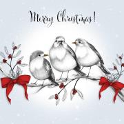 Opakowanie Karnet Swarovski kwadrat Święta Ptaszki na gałęzi Napis