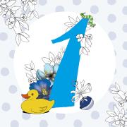 Opakowanie Karnet Swarovski Roczek Chłopie