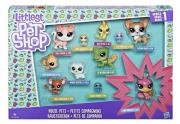Opakowanie Littlest Pet Shop Zestaw Zwierzaków House Pets