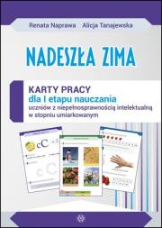 Nadeszła zima Karty pracy sztywna teczka. Autor: Naprawa Renata, Naprawa Renata Tanajewska Alicja. Dadada.pl Okładka książki Nadeszła zima Karty pracy sztywna teczka