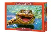 Opakowanie Puzzle Green & Fun 500
